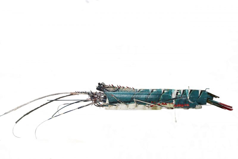 Ken Thaiday, Crayfish, Torres Strait Islander art